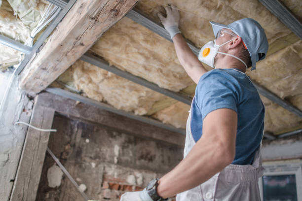 Best Commercial Insulation in Chenango Bridge, NY